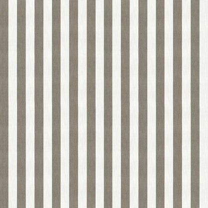Natural - Derby By Warwick || In Stitches Soft Furnishings