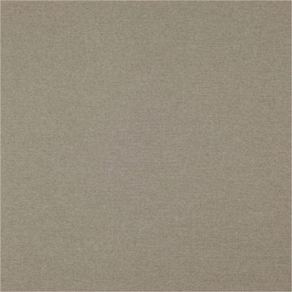 Stucco - Dreaming Dimout Dimout By Zepel || In Stitches Soft Furnishings