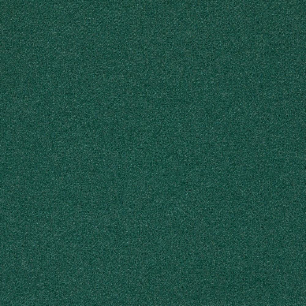 Forest - LugoOutdoor By Clarke & Clarke || In Stitches Soft Furnishings