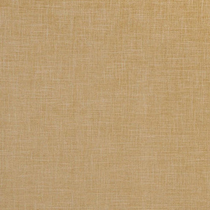 Antique - Albany By Clarke & Clarke || In Stitches Soft Furnishings