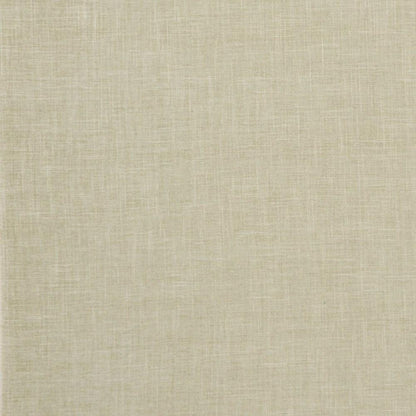 Sage - Albany By Clarke & Clarke || In Stitches Soft Furnishings