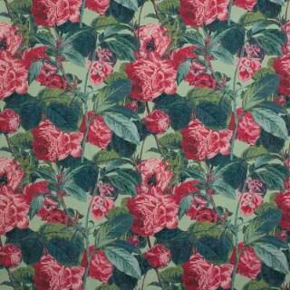 Magenta - Avesta By Warwick || In Stitches Soft Furnishings