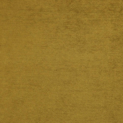 Gold - Baron By FibreGuard by Zepel || In Stitches Soft Furnishings