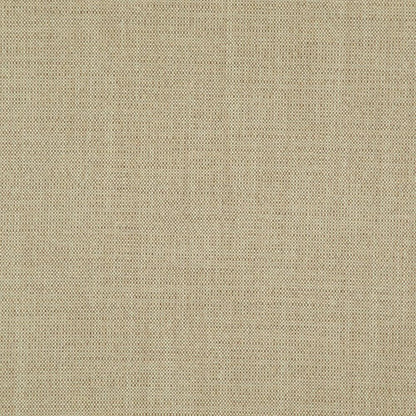 Lion - Gent By FibreGuard by Zepel || In Stitches Soft Furnishings