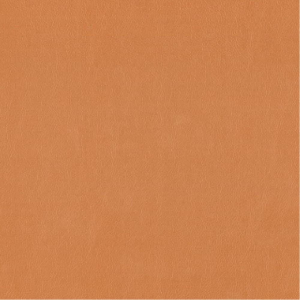 Camel - Lustrell Charisma By Warwick || In Stitches Soft Furnishings