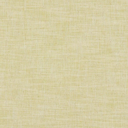 Citron - Milton By Clarke & Clarke || In Stitches Soft Furnishings
