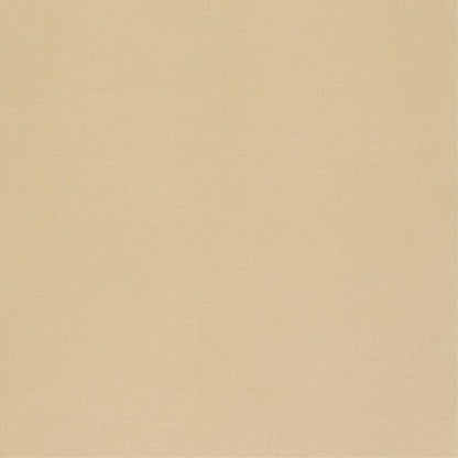 Putty - Niteflite 150cm By Zepel || In Stitches Soft Furnishings