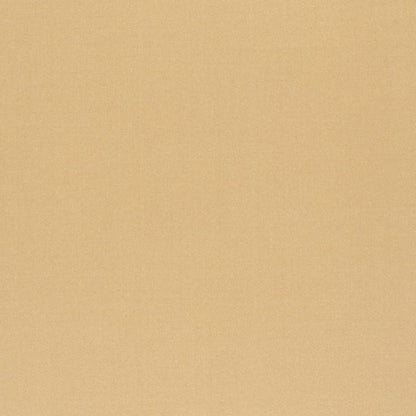 Buff - Sateen 137 (South Face) By Zepel || In Stitches Soft Furnishings